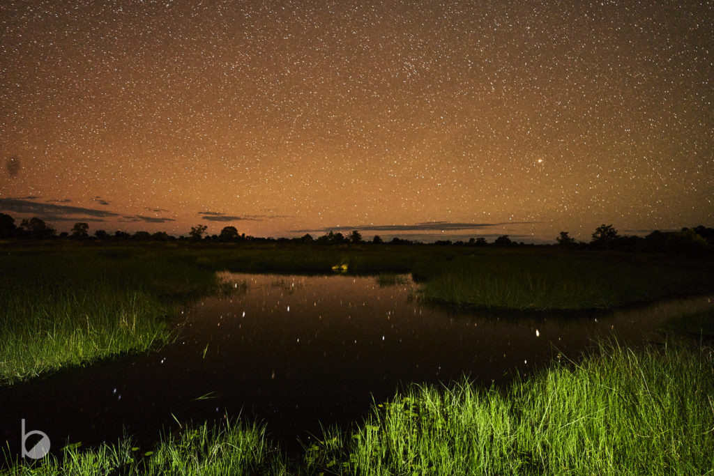 Las estrellas reflejadas en el humedal.