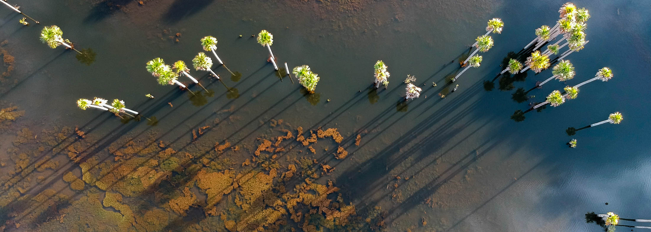 DJI Spark, un gran dron