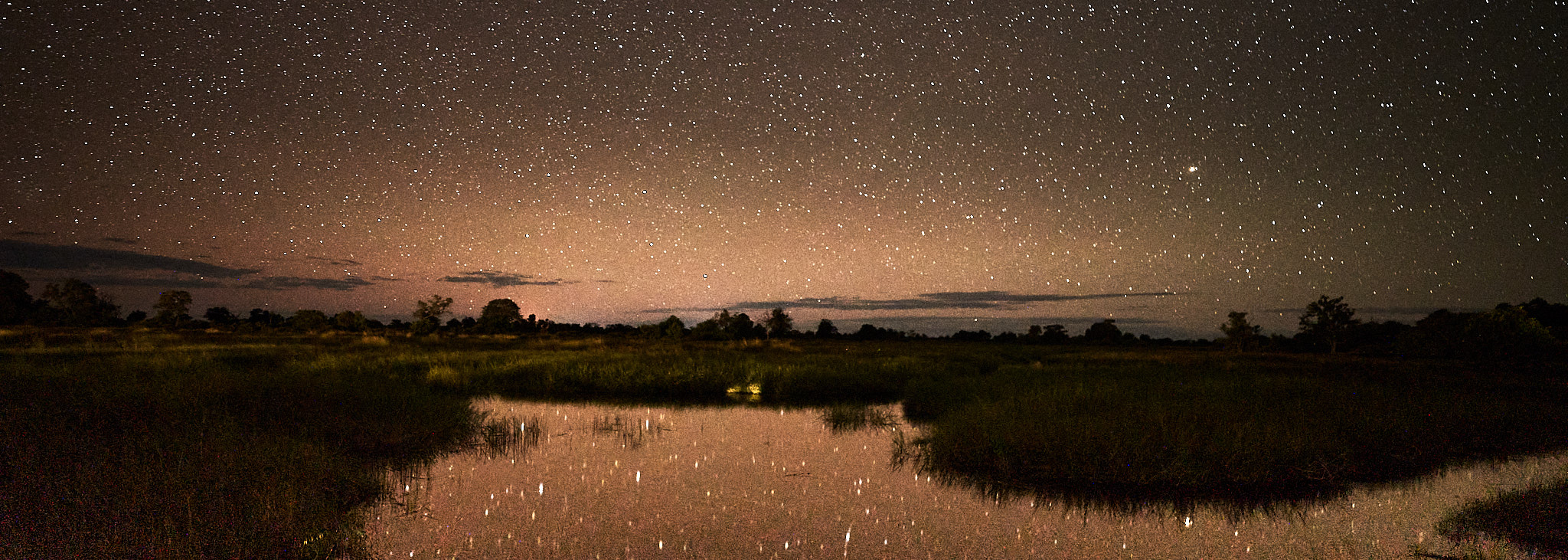La sinfonía nocturna del Okavongo